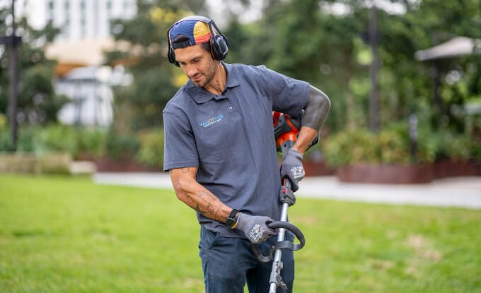 strata gardening